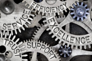 reliable bloodstock agent