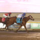 Nice Neighbor: Triumph in Useeit Stakes at Remington Park