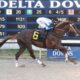 Client Success: Mighty Message’s Maiden Win at Delta Downs