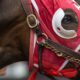 5 Reasons Why Horse Racing’s Drug Rules Need Reform