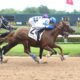 Mighty Message Secures Win at Oaklawn Park