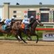 Client Success: Fine Finish Wins Debut at Lone Star Park