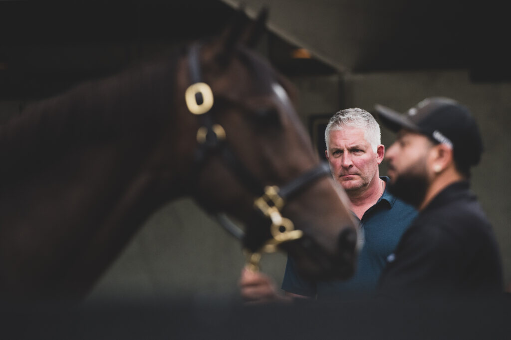 bloodstock agent