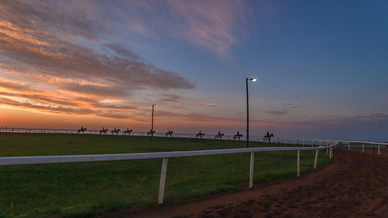 racehorses