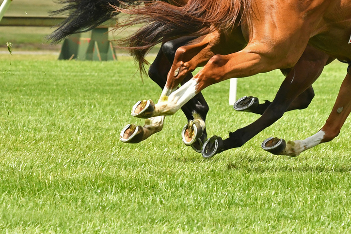 colonial downs