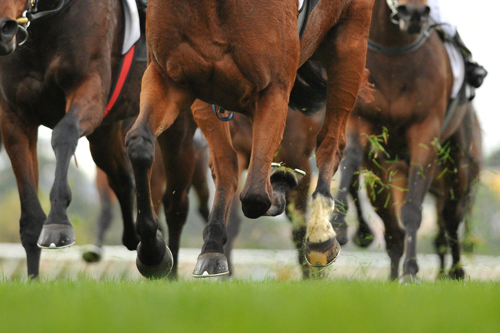 colonial downs