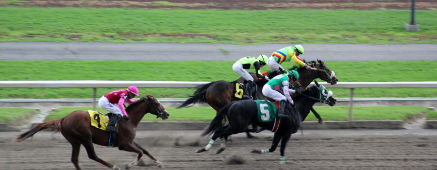 horse racing