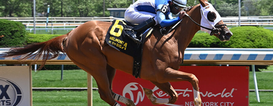 Vehemente Keeps Climbing with Second Win of 2025