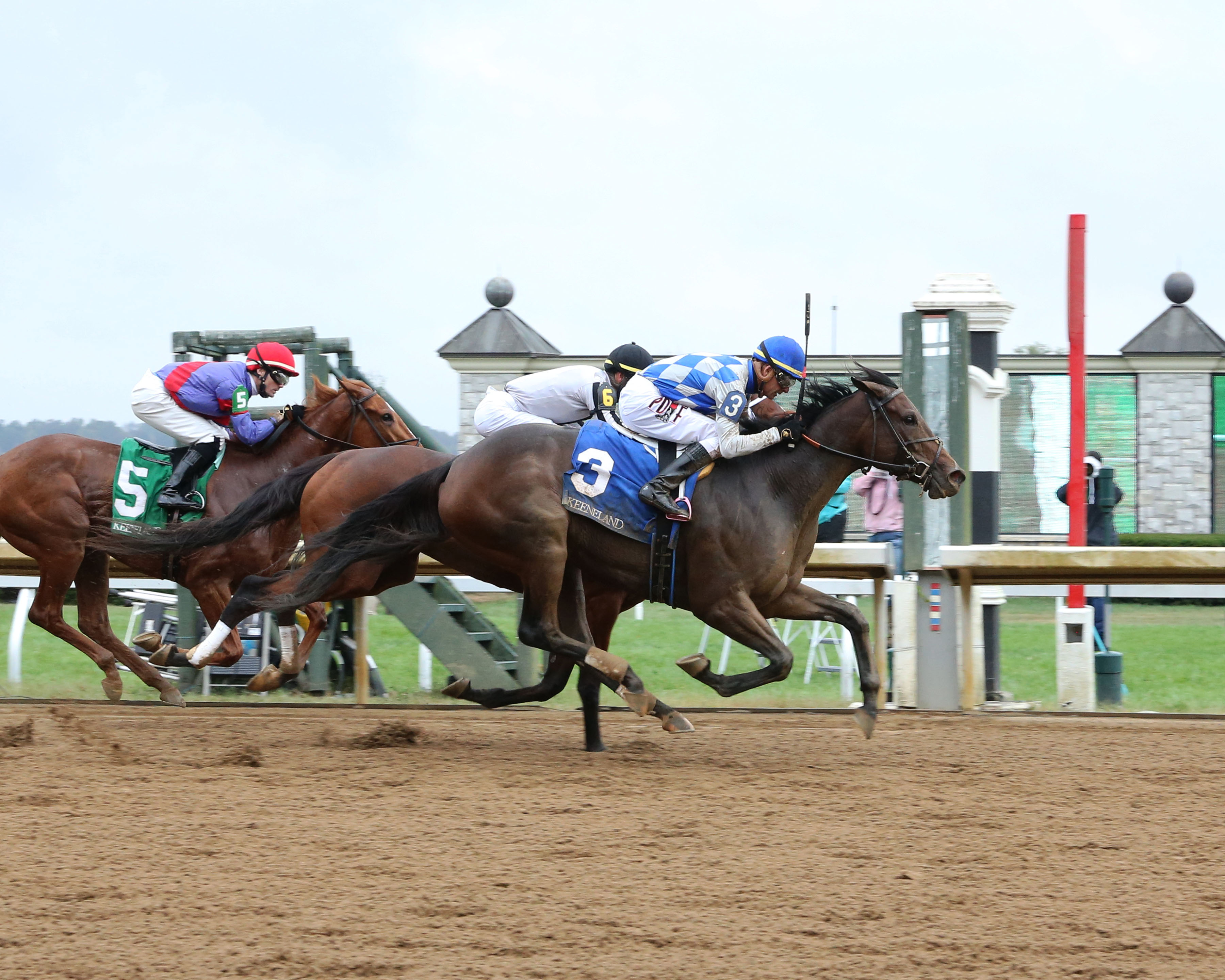 System First: How Disciplined Investors Win with Racehorses