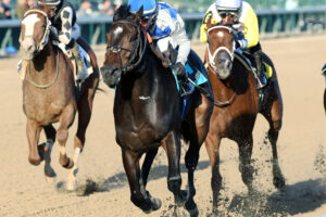 horse