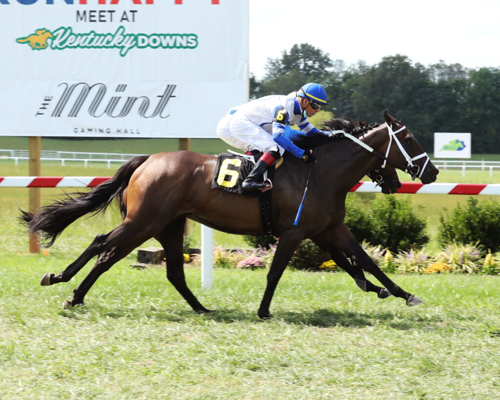 - Clark Shepherd - Bloodstock Agent horse