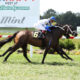 Smart Horse Investors Watch the Burn, Not the Buy