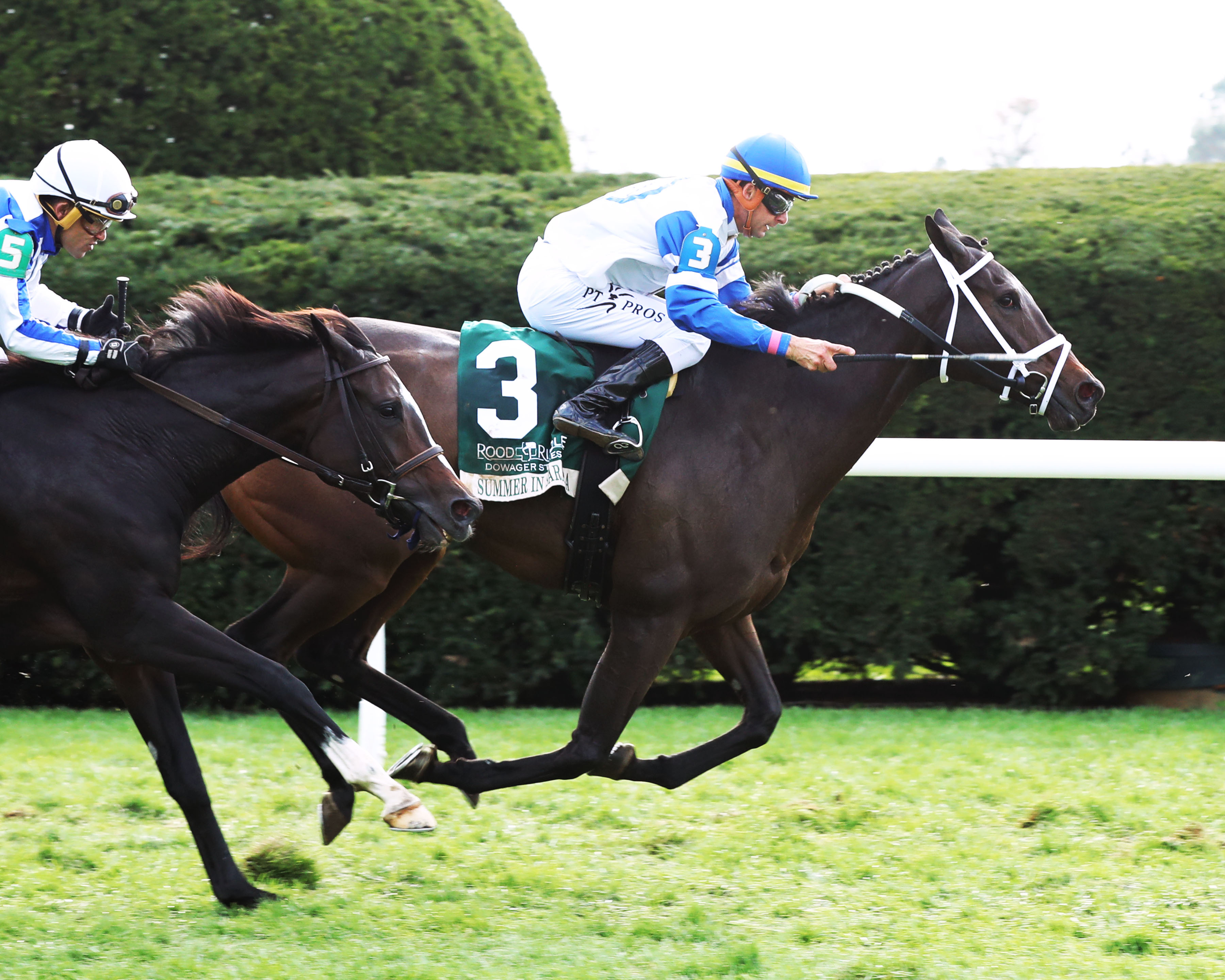 SUMMER IN SARATOGA - The Rood Riddle Dowager G3 - 30th Running - 10-24-21 - R07 - KEE - Finish 01 1 - Clark Shepherd - Bloodstock Agent pedigree