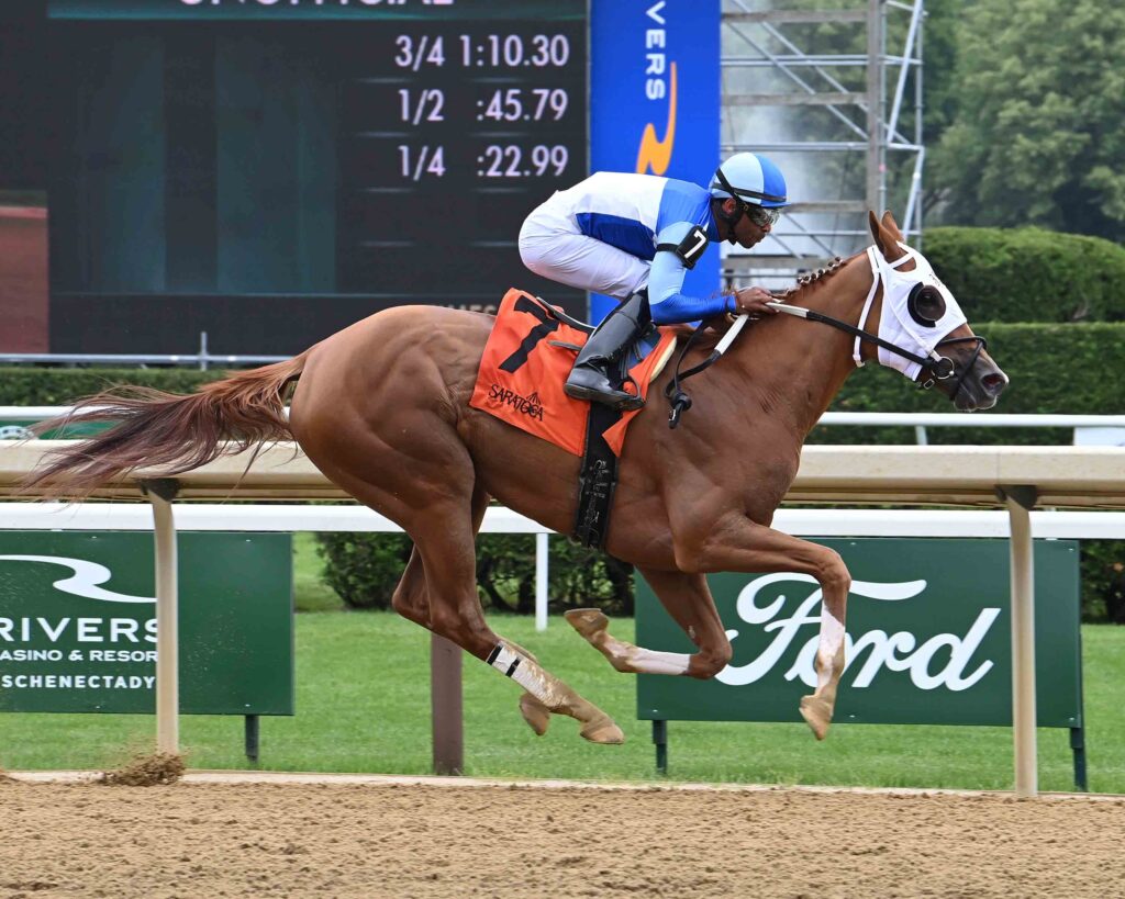 VEHEMENTE3 - Clark Shepherd - Bloodstock Agent vehemente