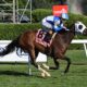 Artistic Success Wins at Saratoga with Room to Grow