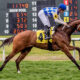 How Breeders Can Get Results Without Giving in to Sale Ring Influence