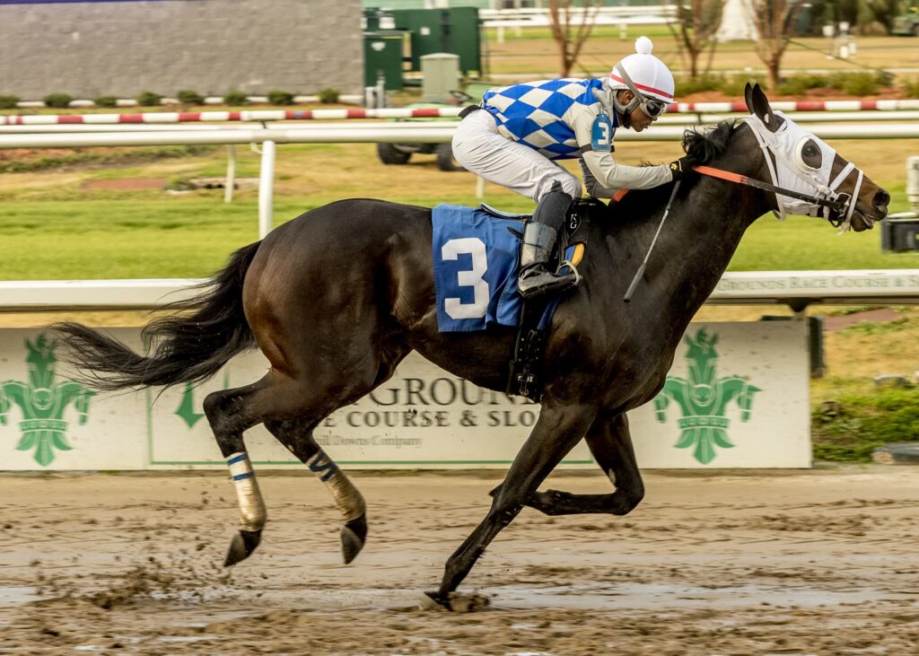 - Clark Shepherd - Bloodstock Agent mare