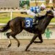 Want to Breed Better Racehorses? Try Starting with Your Mare