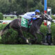 Stallion Selection: Breeding to Race Can Be Commercial