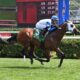 Bosun Surges Late at Saratoga, Bigger Targets Ahead?