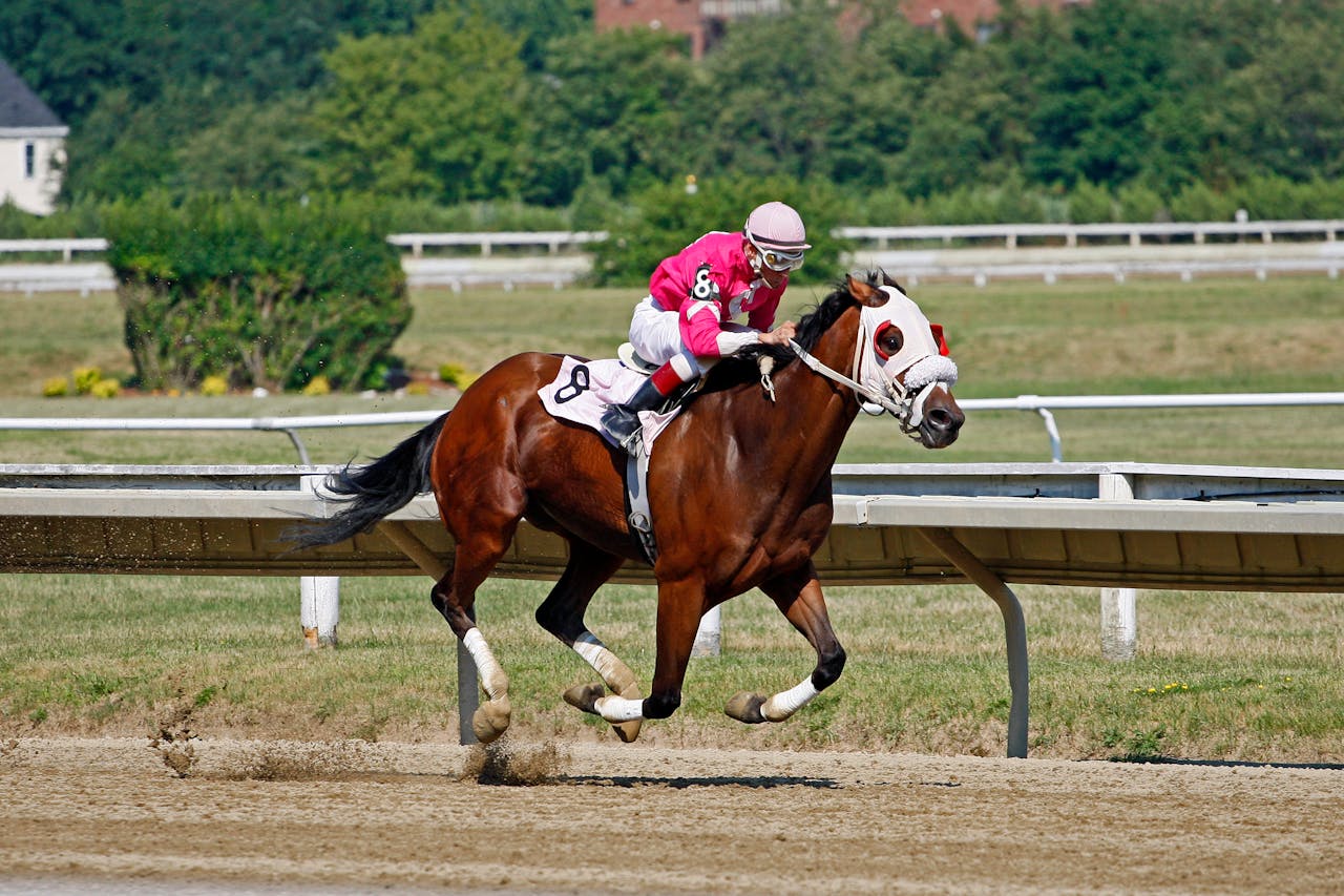 A thrilling horse race captured mid-action showing a jockey and horse in motion on the track.