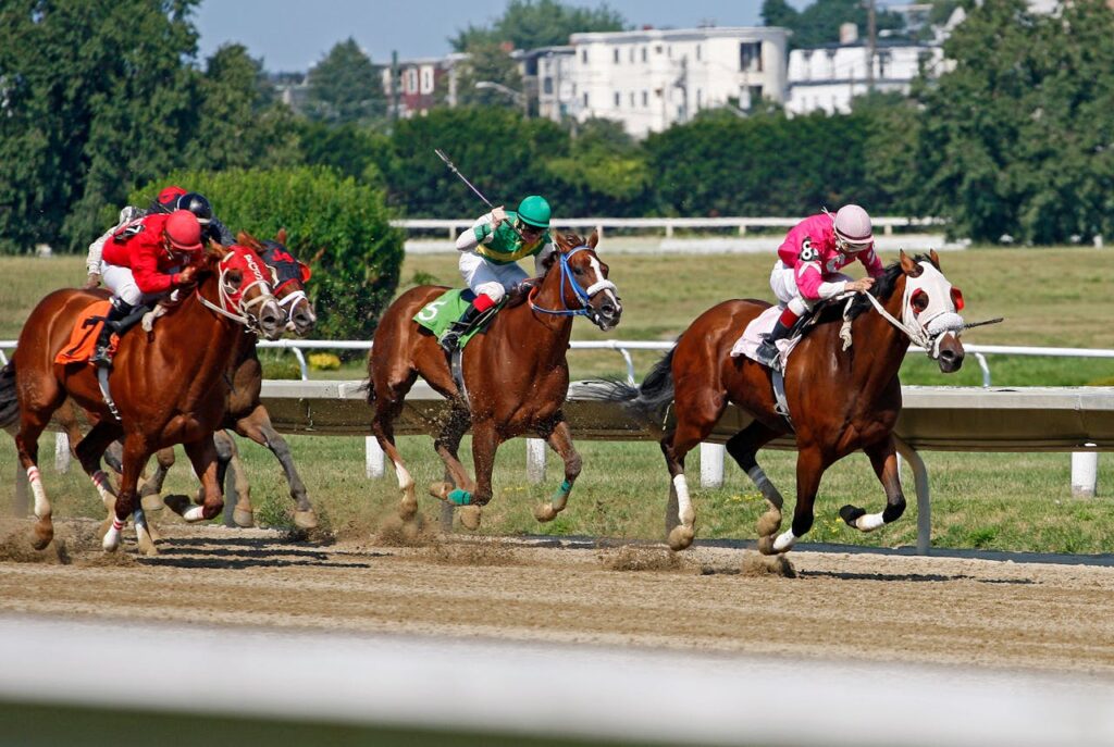 Jockeys racing horses energetically on a sunlit track during an exciting competition.