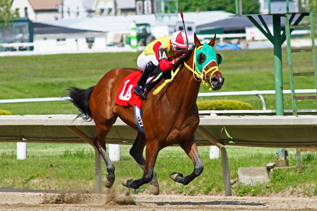 contact-img Exciting moment of a jockey racing a horse at full speed on a sunny day.