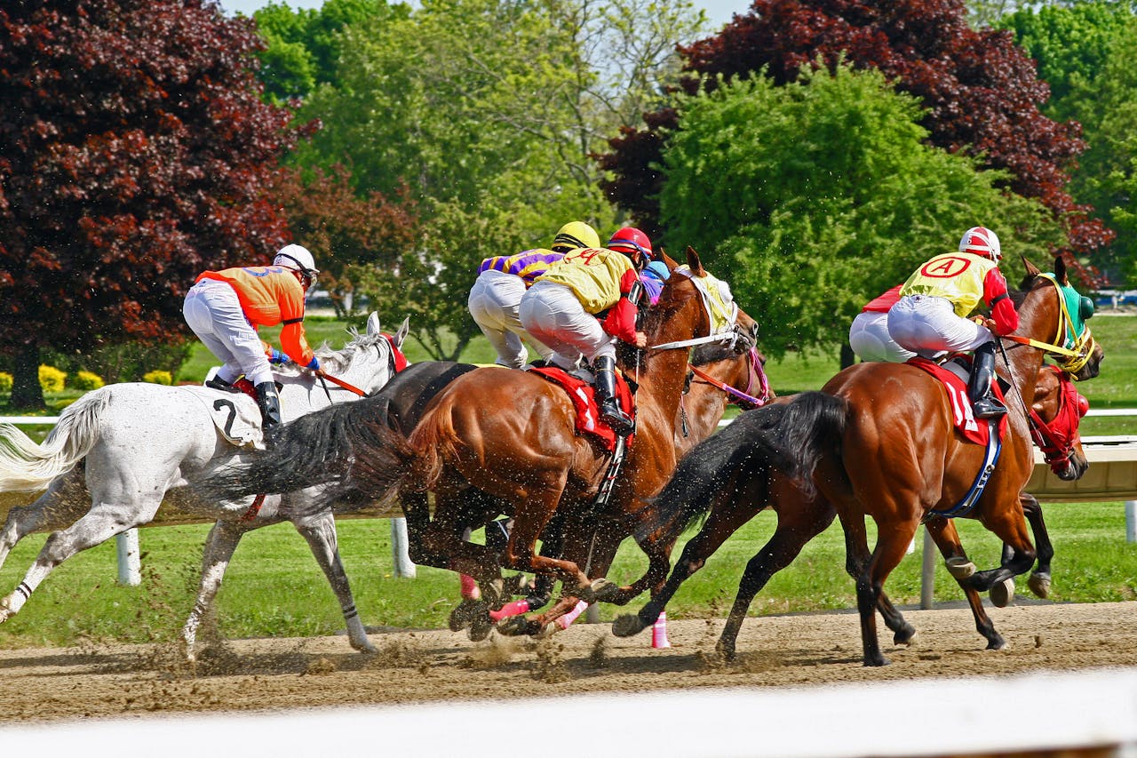 services-01 Dynamic horse racing scene with jockeys and vibrant nature backdrop.