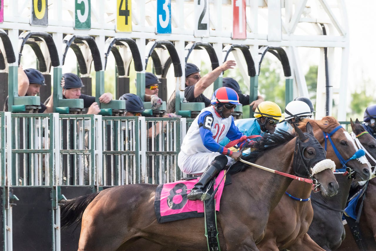 Thrilling horse race kickoff with jockeys and thoroughbreds at starting gates.