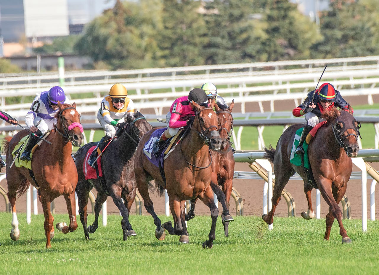 Intense horse race showcasing competitive jockeys driving their steeds toward victory.