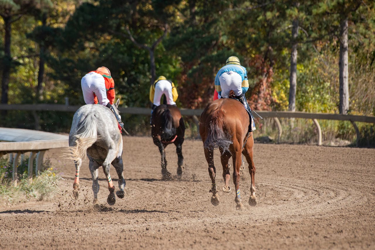 Exciting horse race showcasing jockeys in vibrant gear on a sunny day outdoors.