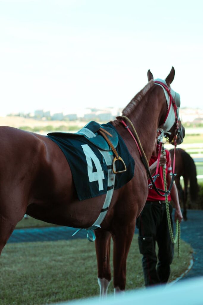 Close-up of a racehorse with jockey on a grassy outdoor track before a race.