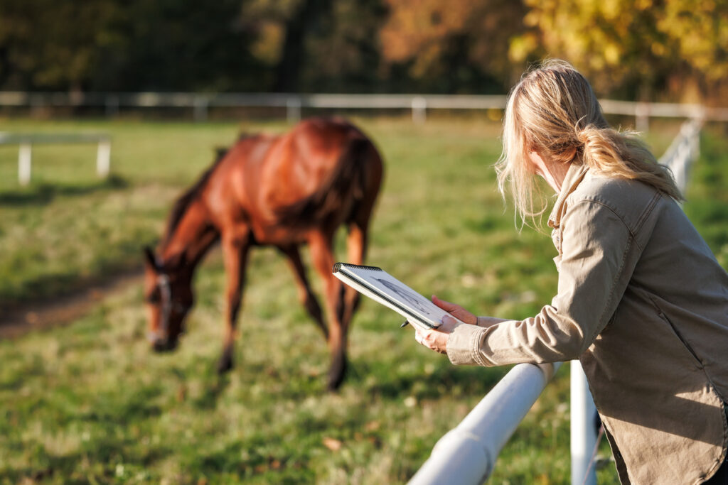 woman artist drawing horse to sketchbook